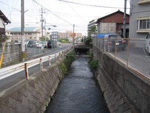 01bachi20130727.JPG
