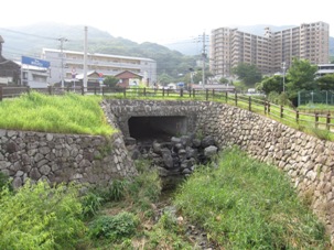 02bachi20130727.JPG