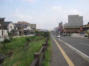 05bachi20130727.JPG
