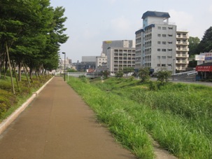 07bachi20130727.JPG