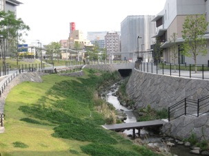 09bachi20130727.JPG