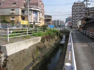 11bachi20130727.JPG