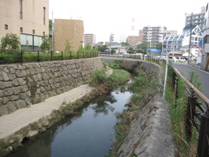 12bachi20130727.JPG
