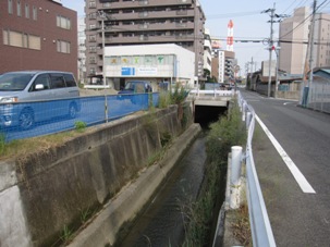 13bachi20130727.JPG