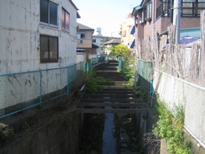 IMG_9794.JPG