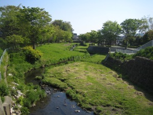 IMG_9795.JPG