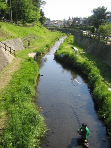 IMG_9799.JPG