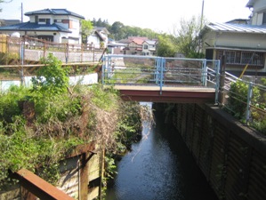 IMG_9810.JPG