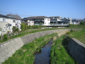IMG_9814.JPG