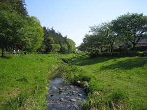 IMG_9824.JPG