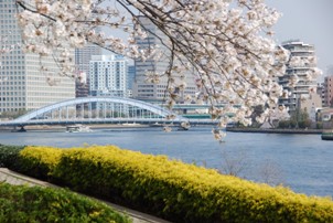 04sumida1.JPG