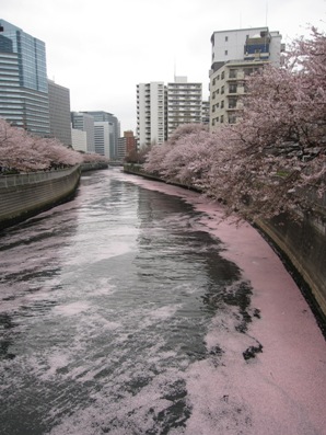 09meguro2.JPG
