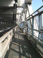 20060525-2(水web).jpg