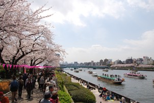 20100403sumida.JPG