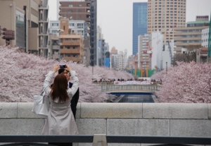 20100404meguro.JPG