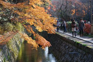 20101205kyoto.JPG