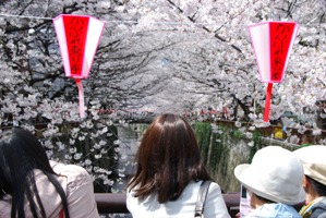 20110407meguro.JPG